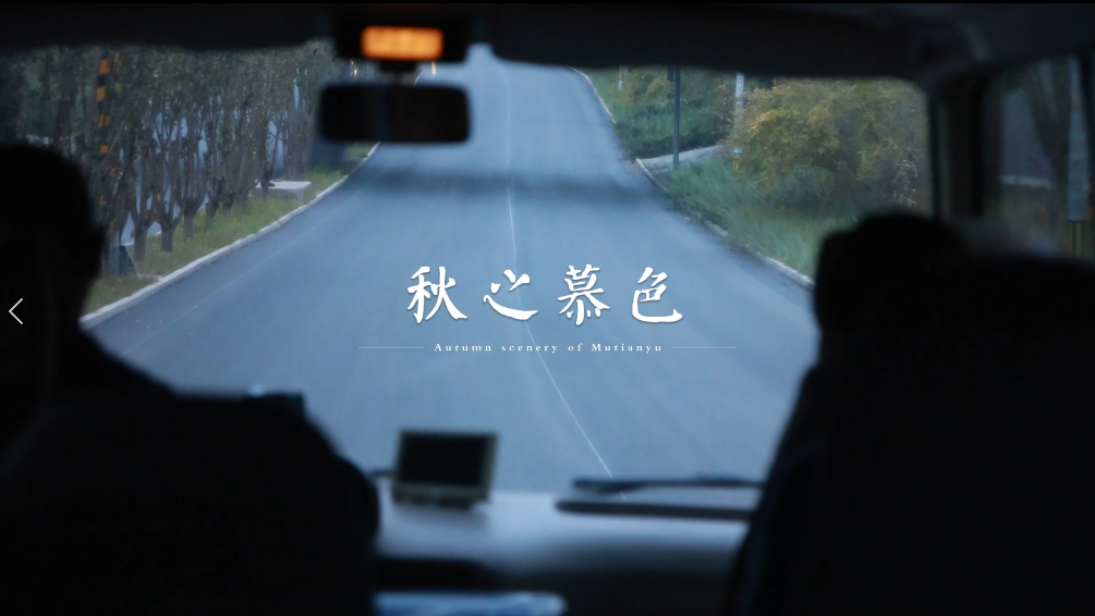 点击查看视频内容